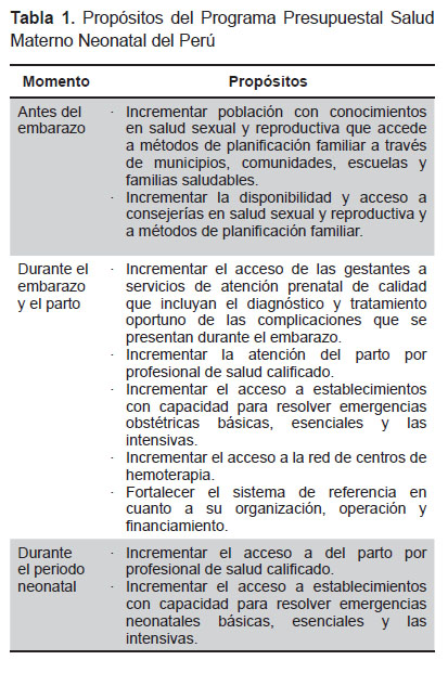 View of Interventions of the maternal and newborn health program based on  financing for performance | Revista Peruana de Medicina Experimental y  Salud Pública